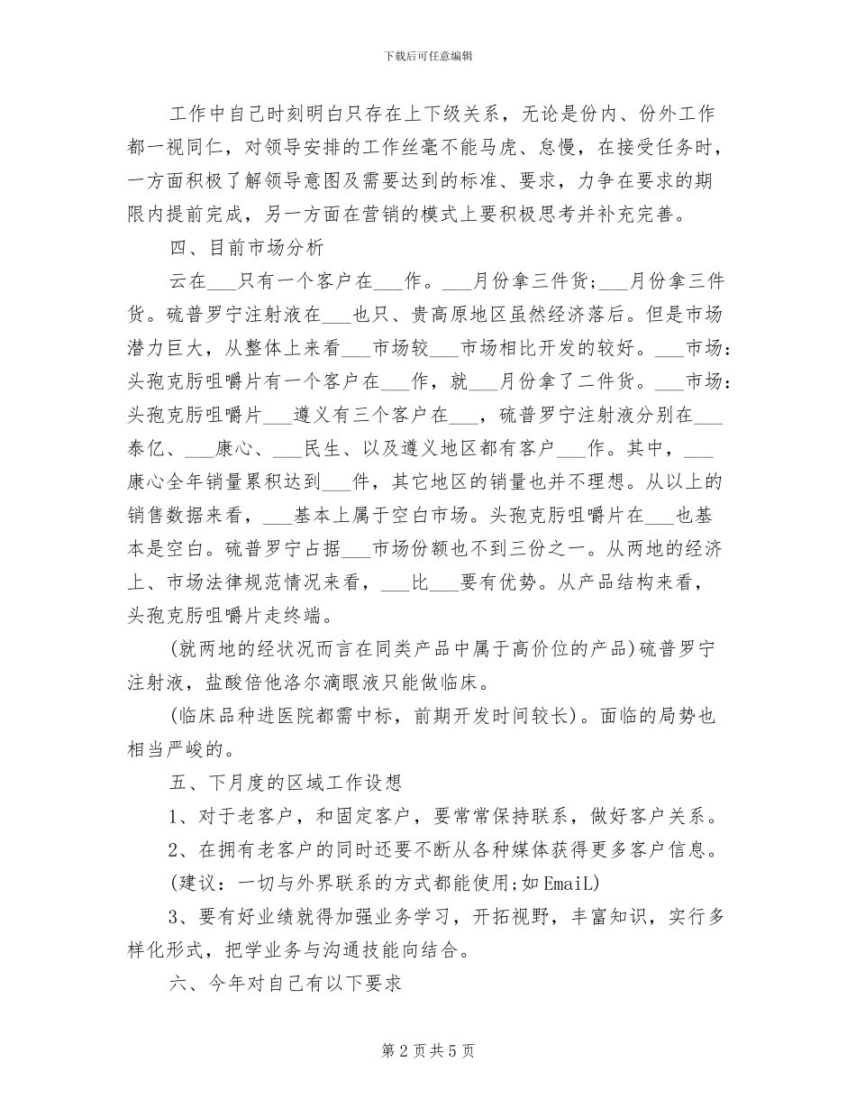 2024年药品销售人员个人工作总结_第2页