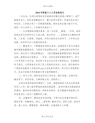 2024年药监个人工作总结范文