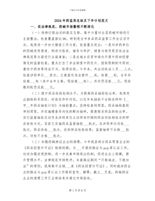 2024年药监局总结及下年计划范文