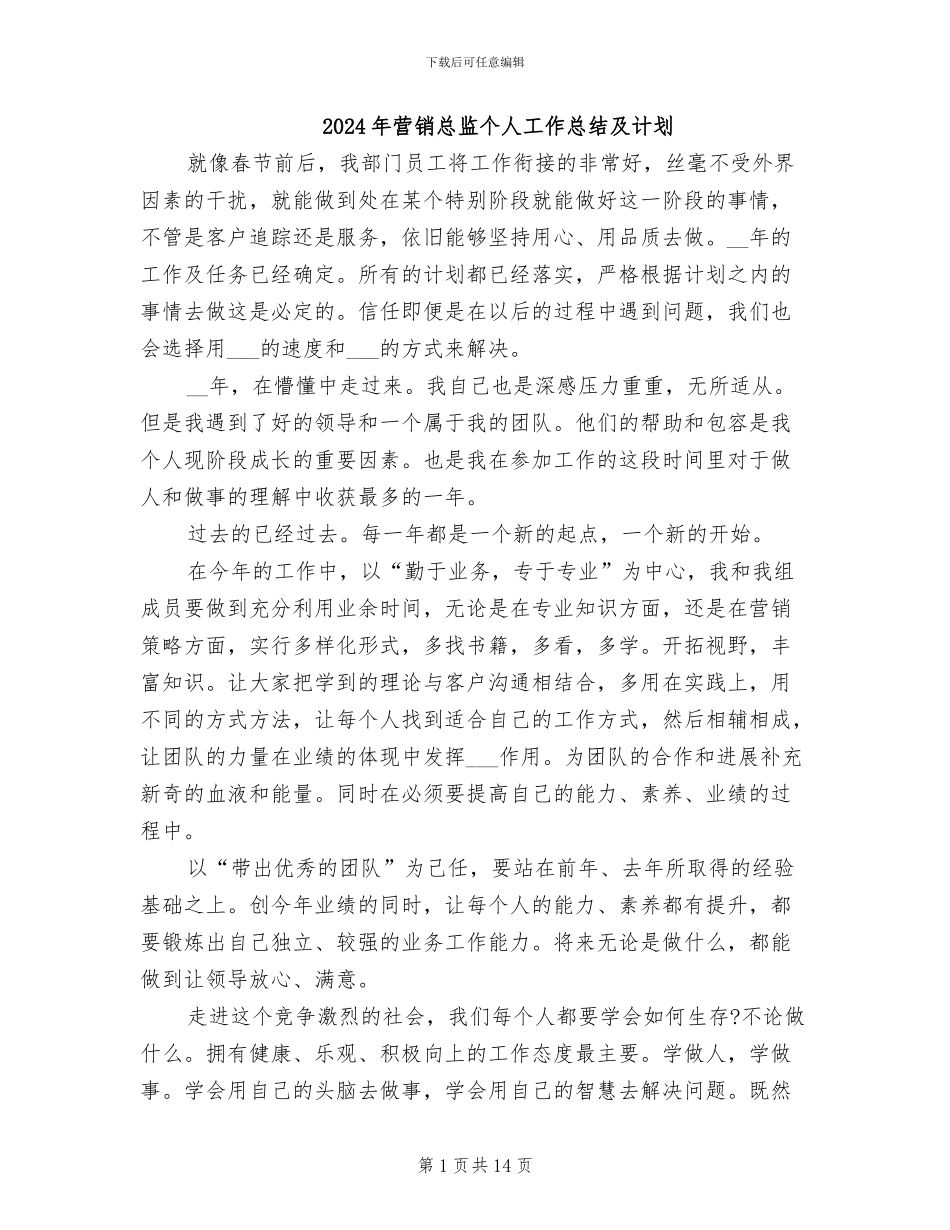 2024年营销总监个人工作总结及计划_第1页