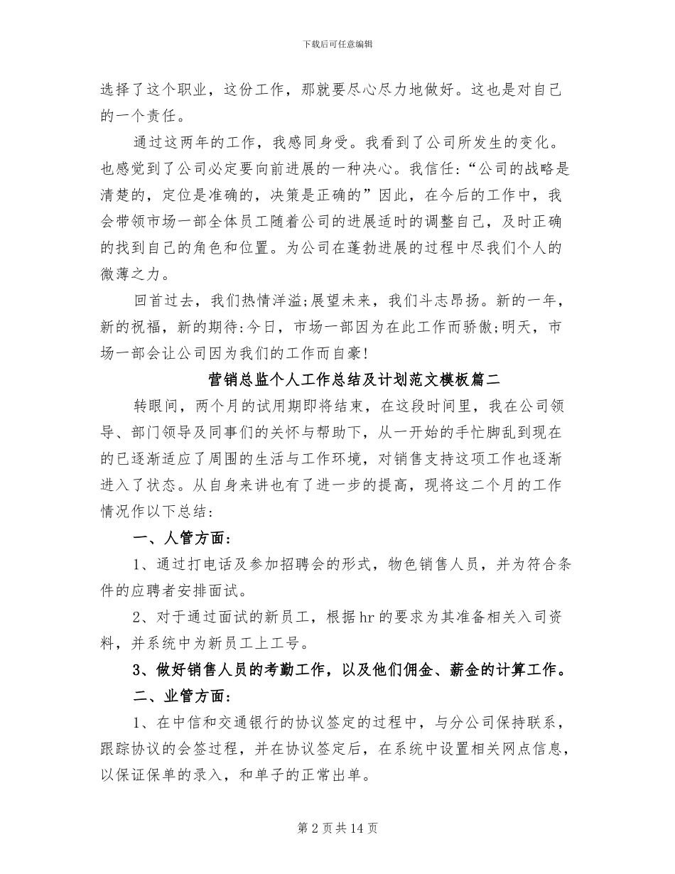 2024年营销总监个人工作总结及计划_第2页