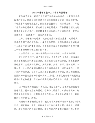 2024年营销总监个人工作总结及计划