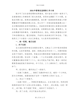 2024年营销总监销售工作小结