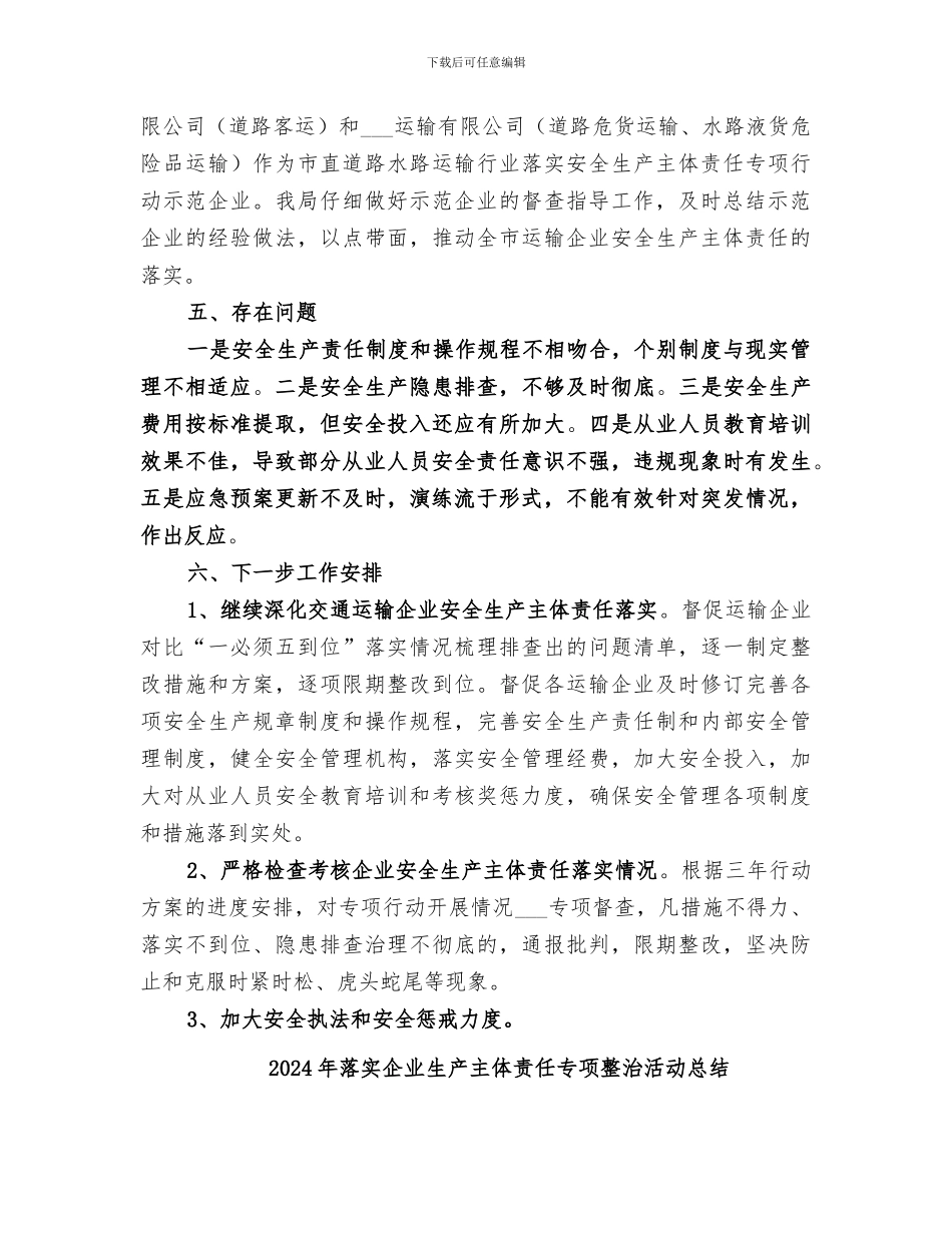 2024年落实企业安全生产主体责任专项行动工作总结_第3页