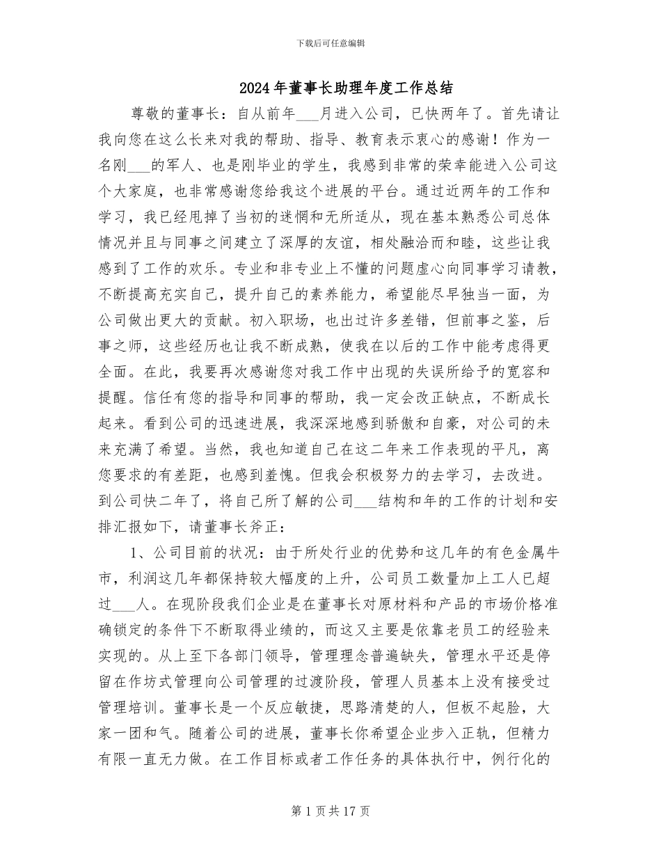 2024年董事长助理年度工作总结_第1页