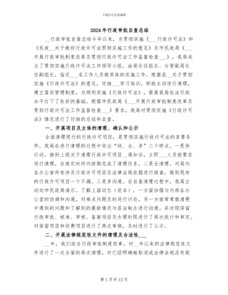 2024年行政审批自查总结