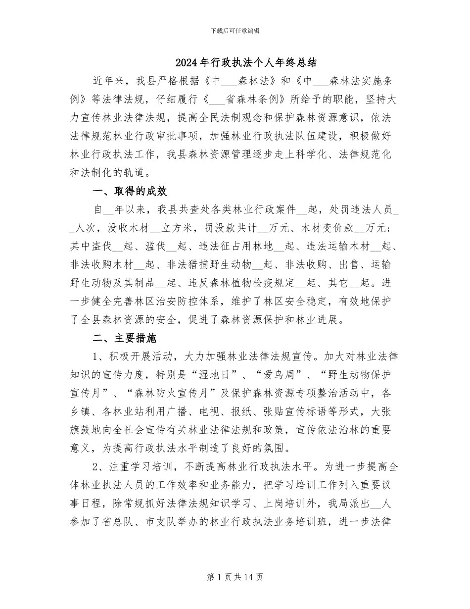 2024年行政执法个人年终总结_第1页