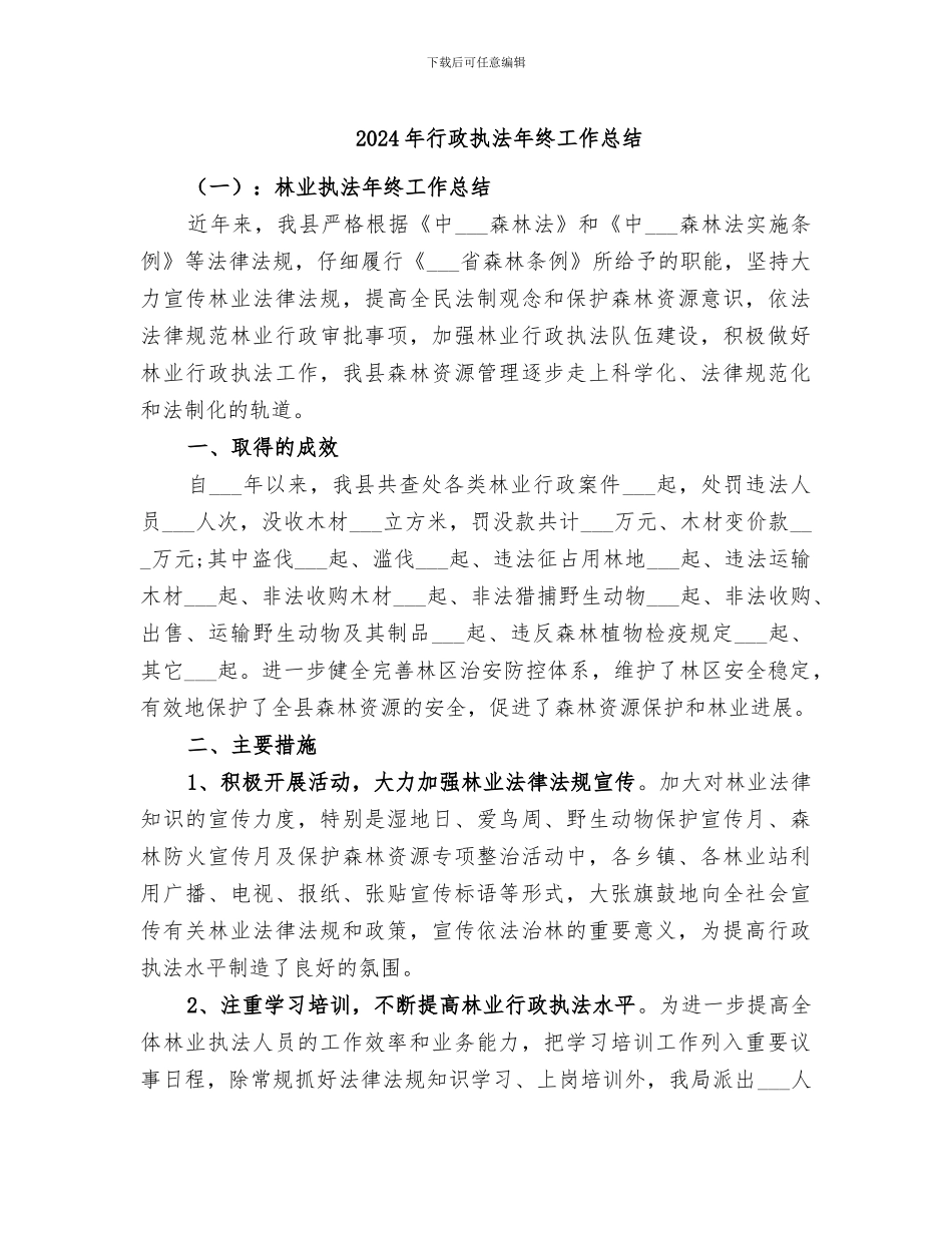 2024年行政执法年终工作总结_第1页