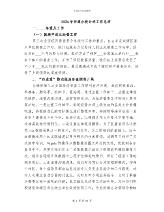 2024年街道办统计站工作总结