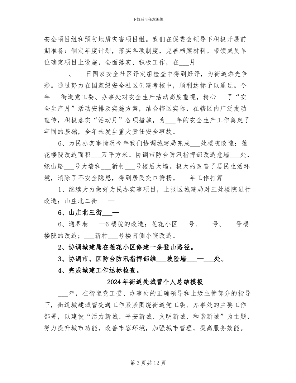 2024年街道处城管个人总结参考_第3页