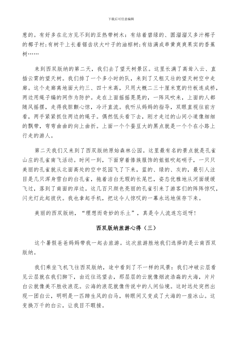 2024年西双版纳游玩总结_第2页