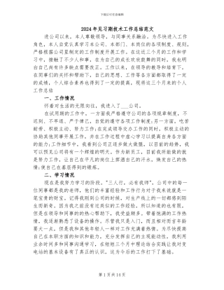 2024年见习期技术工作总结范文