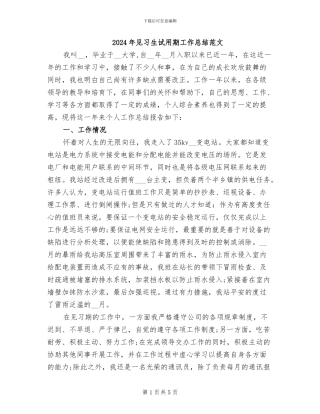 2024年见习生试用期工作总结范文