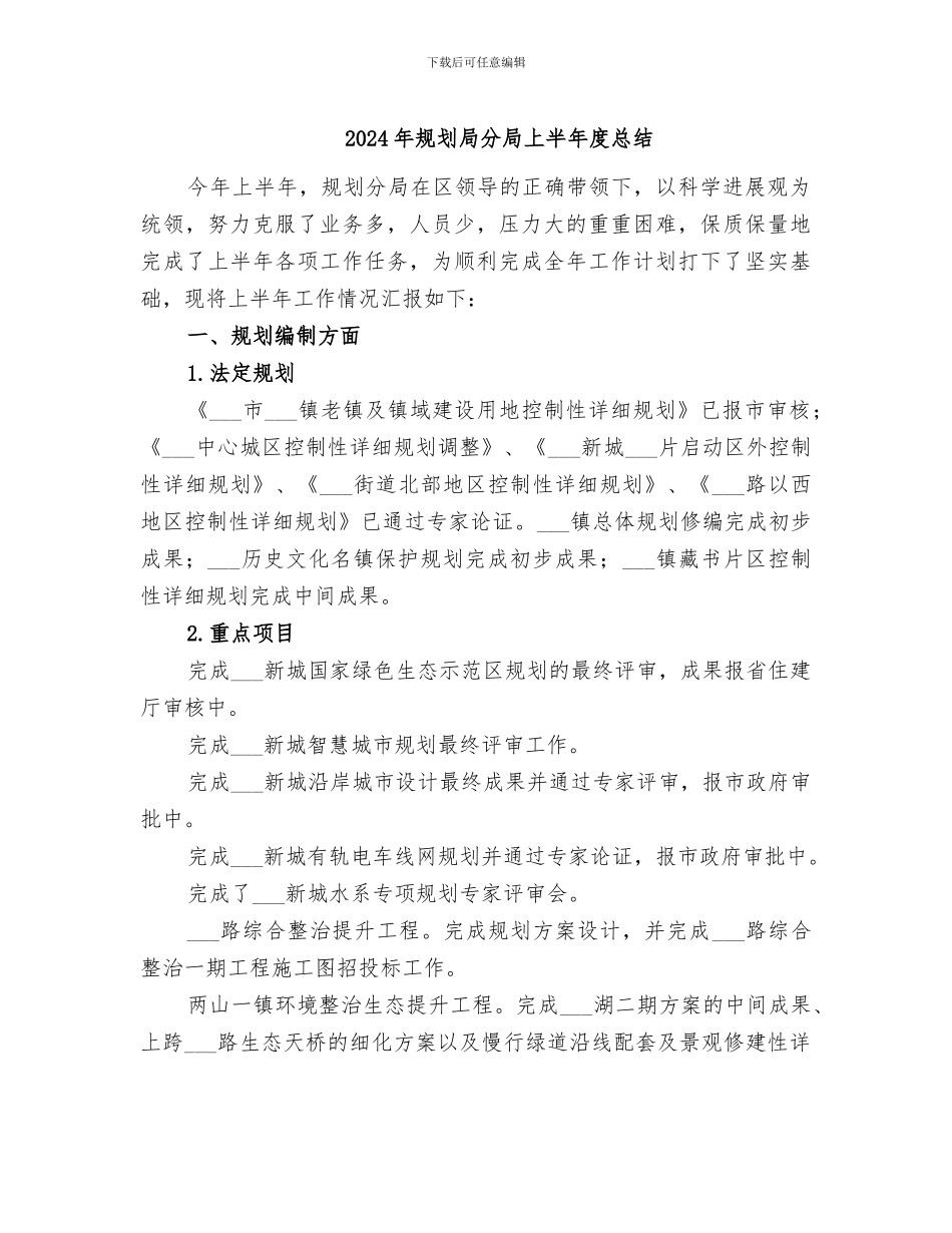 2024年规划局分局上半年度总结_第1页