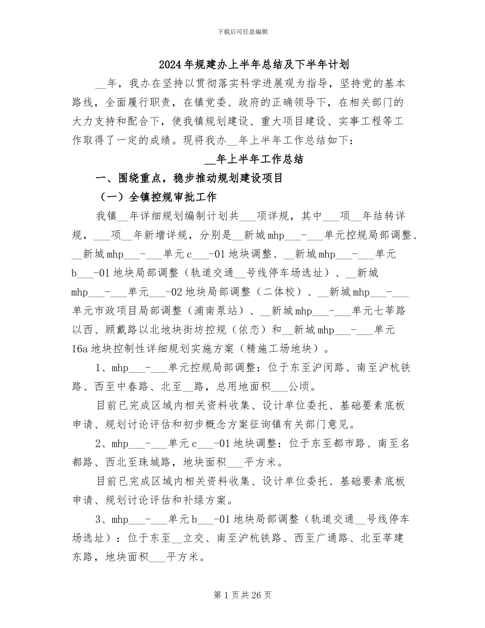 2024年规建办上半年总结及下半年计划_第1页