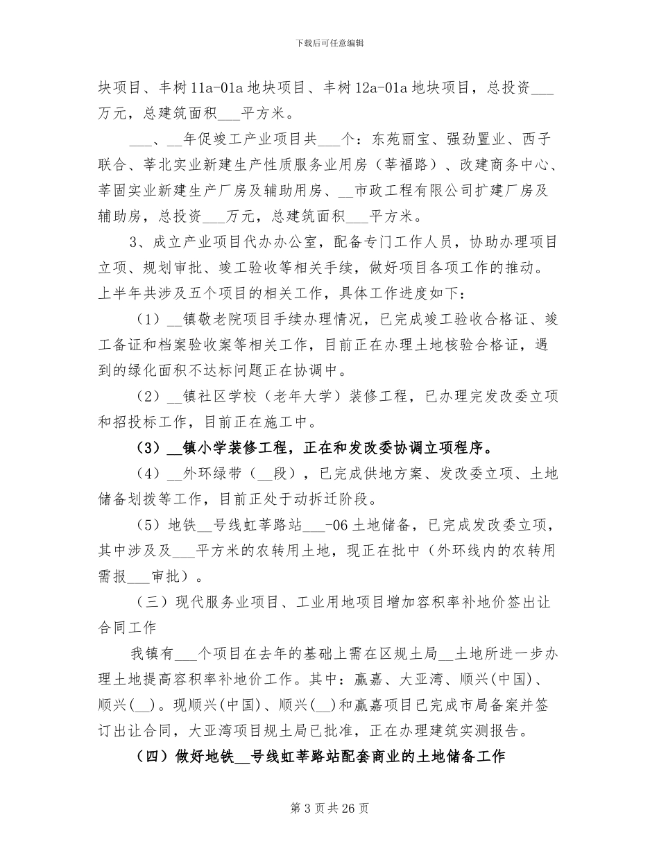 2024年规建办上半年总结及下半年计划_第3页