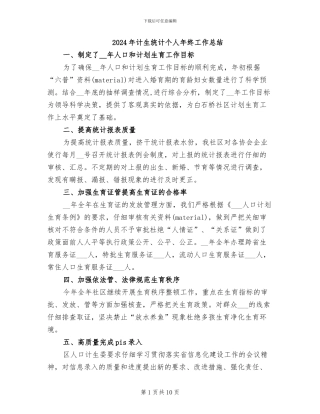 2024年计生统计个人年终工作总结