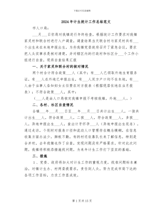 2024年计生统计工作总结范文