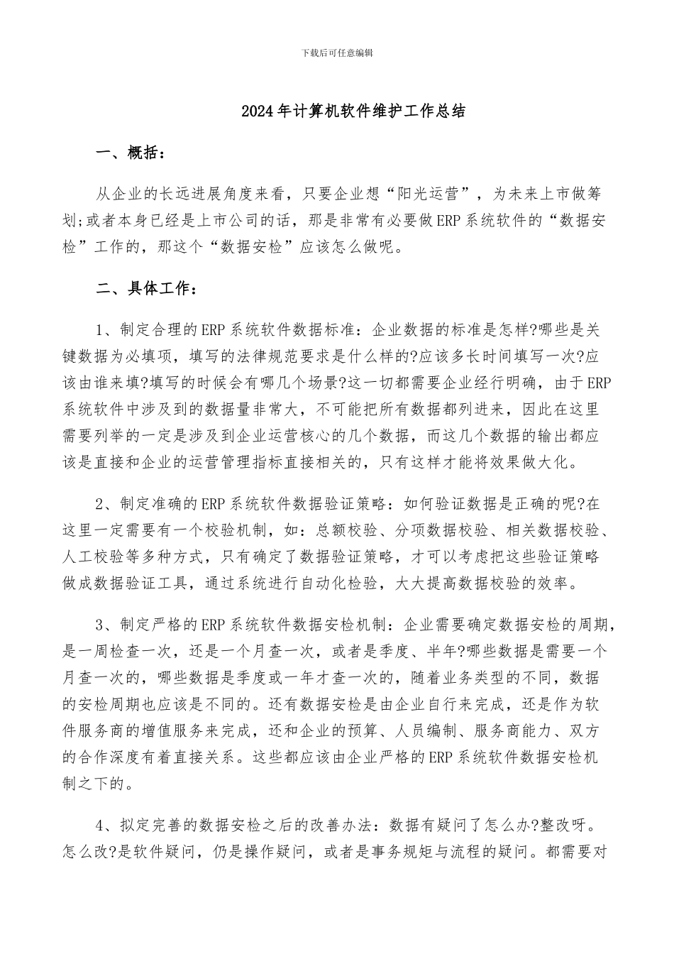 2024年计算机软件维护工作总结_第1页