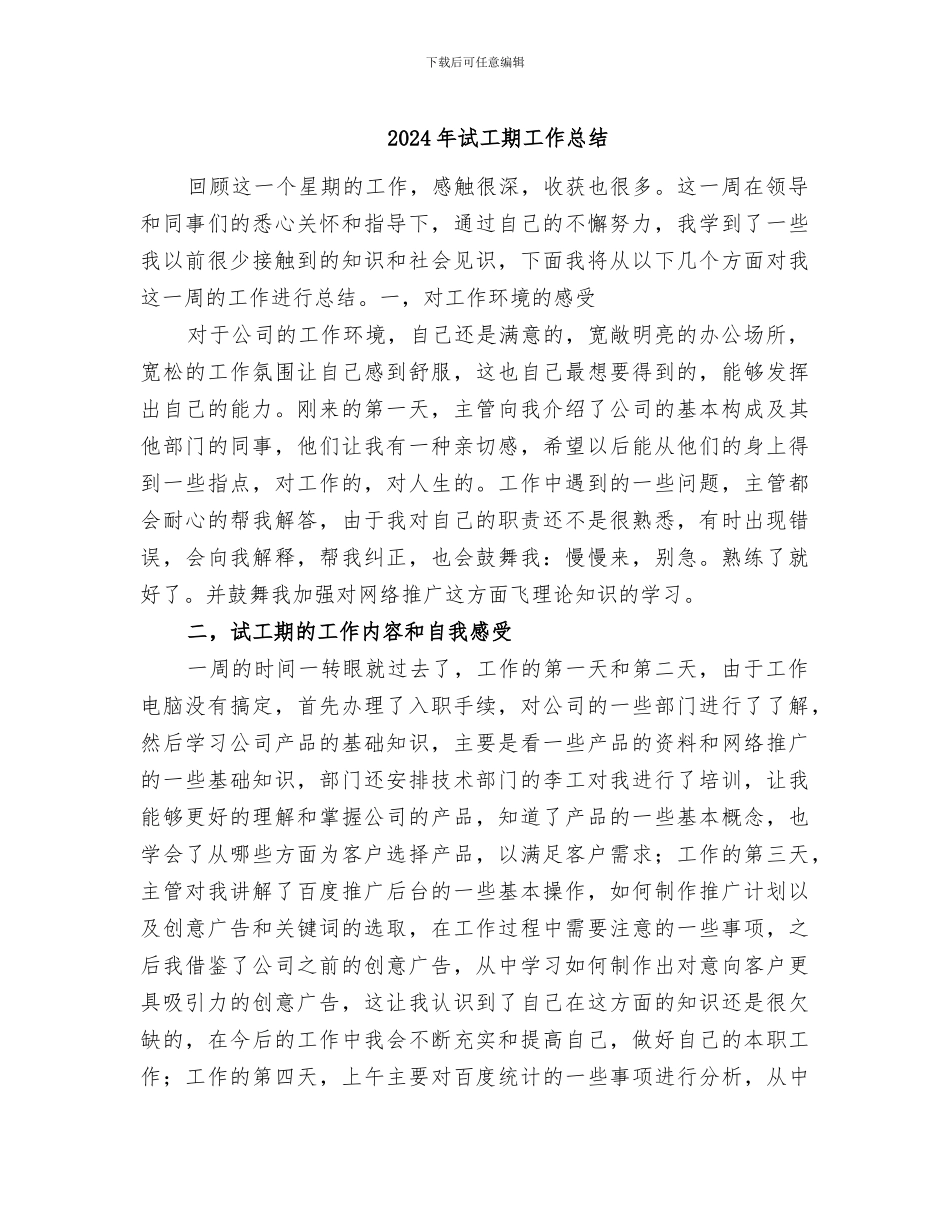 2024年试工期工作总结_第1页
