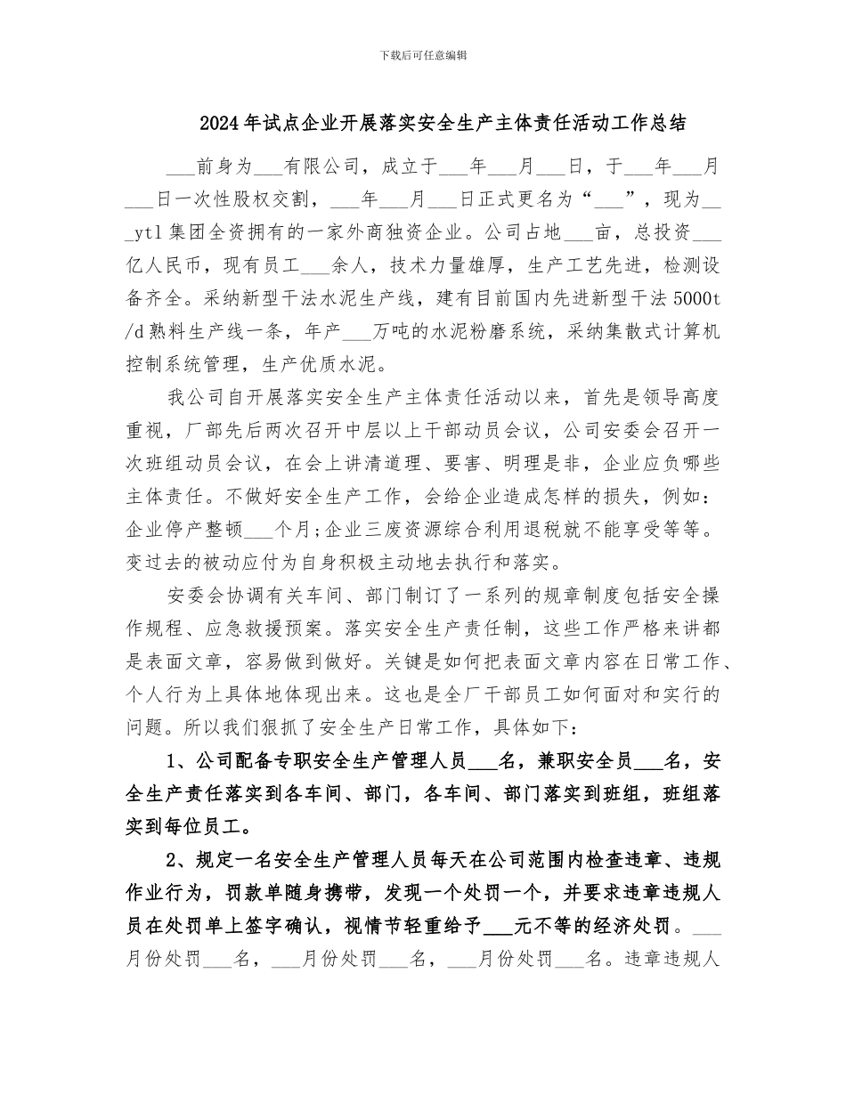 2024年试点企业开展落实安全生产主体责任活动工作总结_第1页