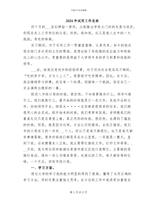 2024年试用工作总结