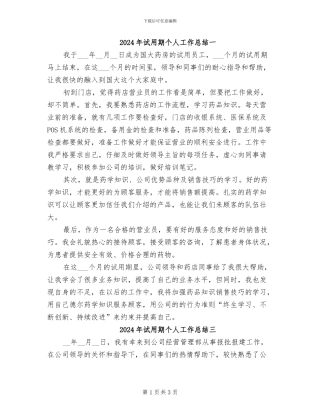 2024年试用期个人工作总结一