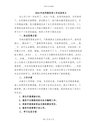 2024年试用期优秀工作总结范文