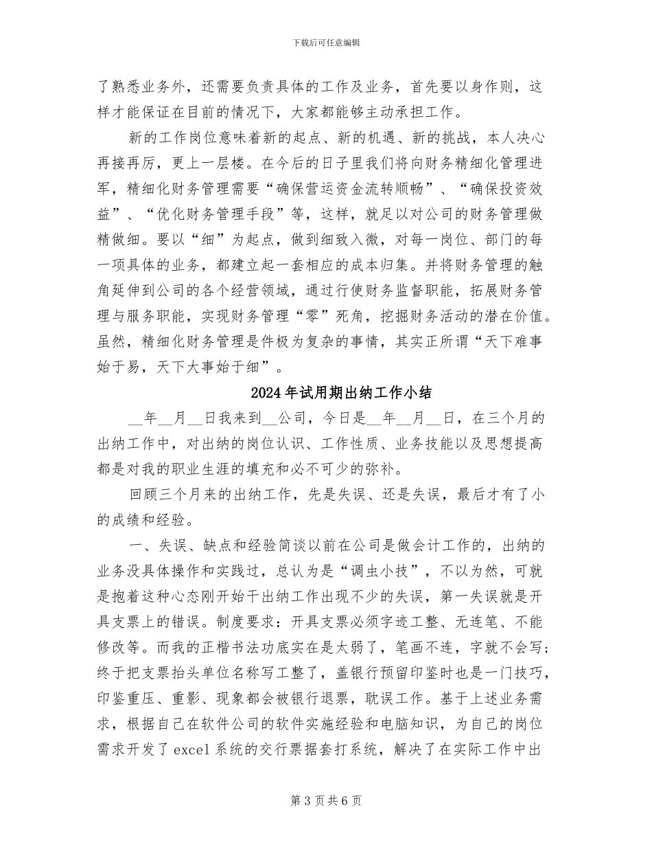 2024年试用期出纳个人工作总结范文_第3页