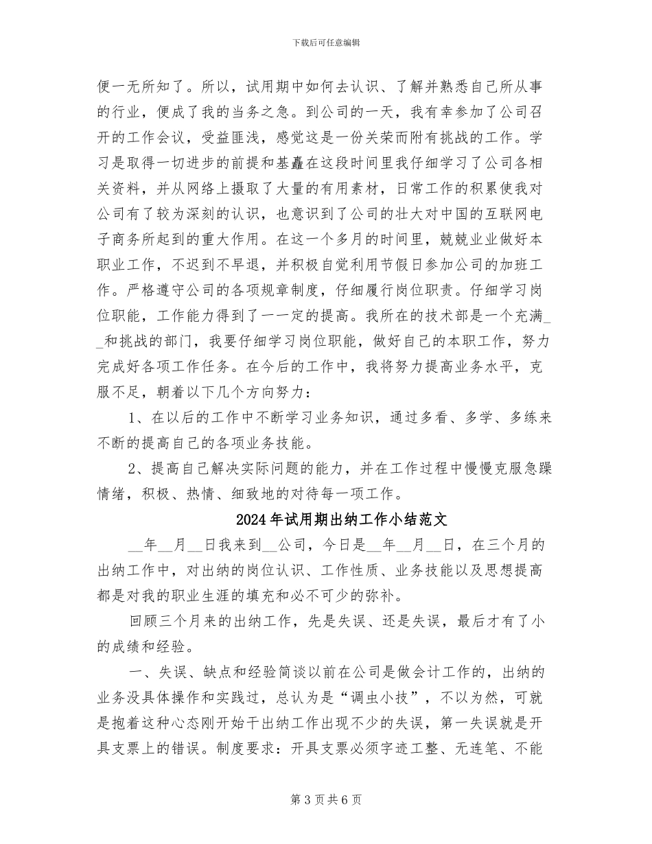 2024年试用期出纳工作小结_第3页