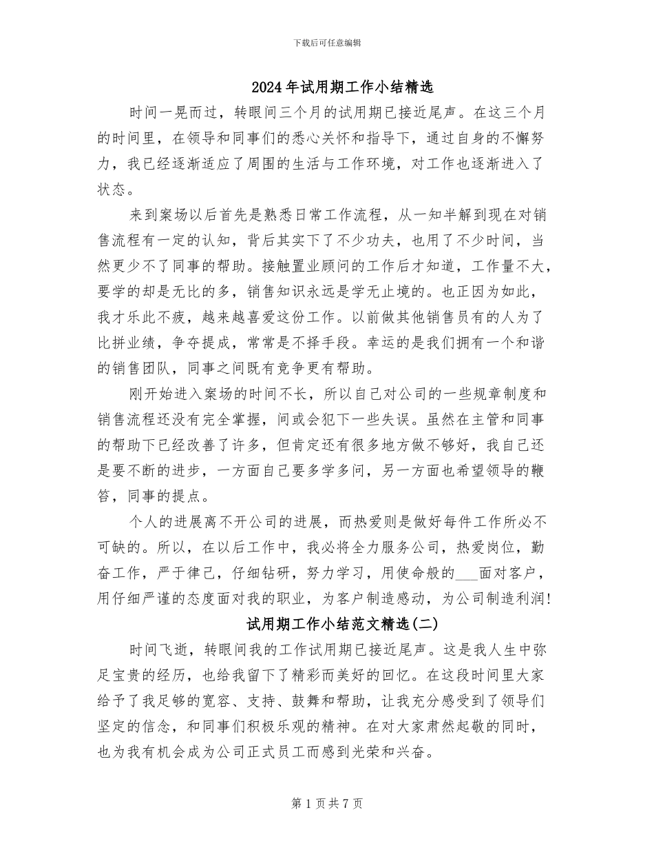 2024年试用期工作小结精选_第1页