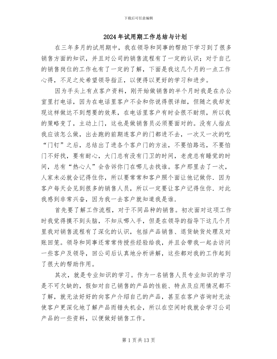 2024年试用期工作总结与计划_第1页