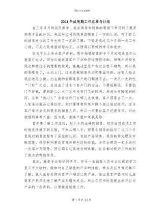 2024年试用期工作总结与计划
