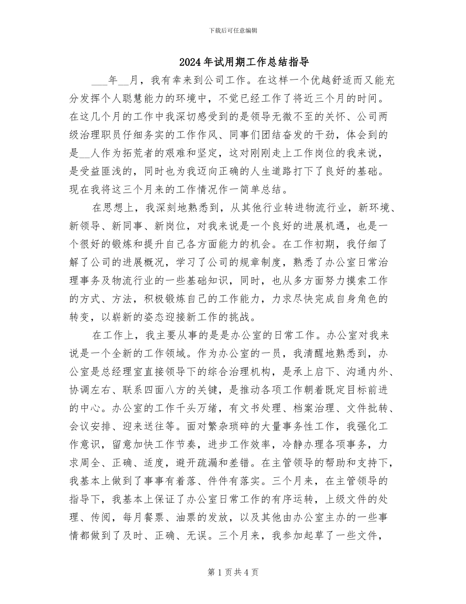 2024年试用期工作总结指导_第1页