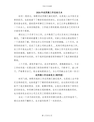 2024年试用期工作总结文本