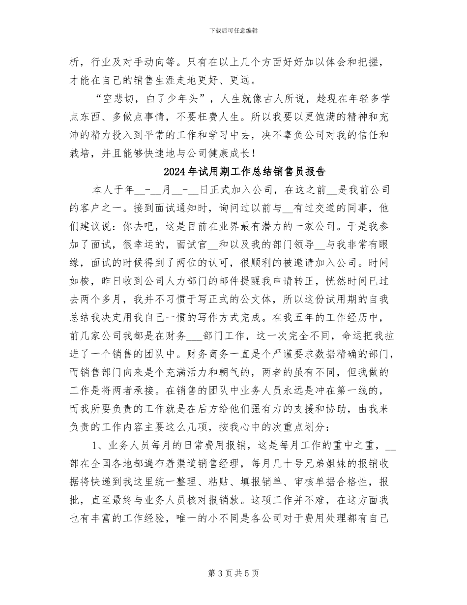 2024年试用期工作总结销售人员范文_第3页