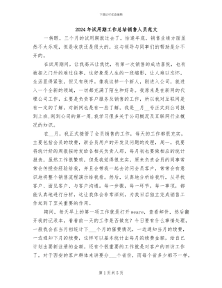 2024年试用期工作总结销售人员范文