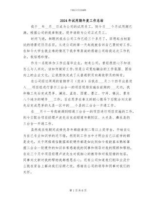 2024年试用期年度工作总结