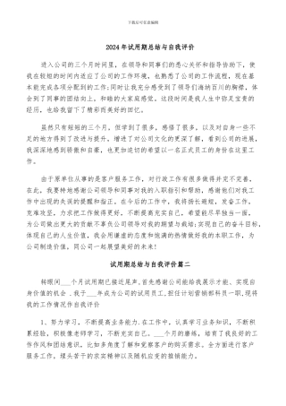 2024年试用期总结与自我评价