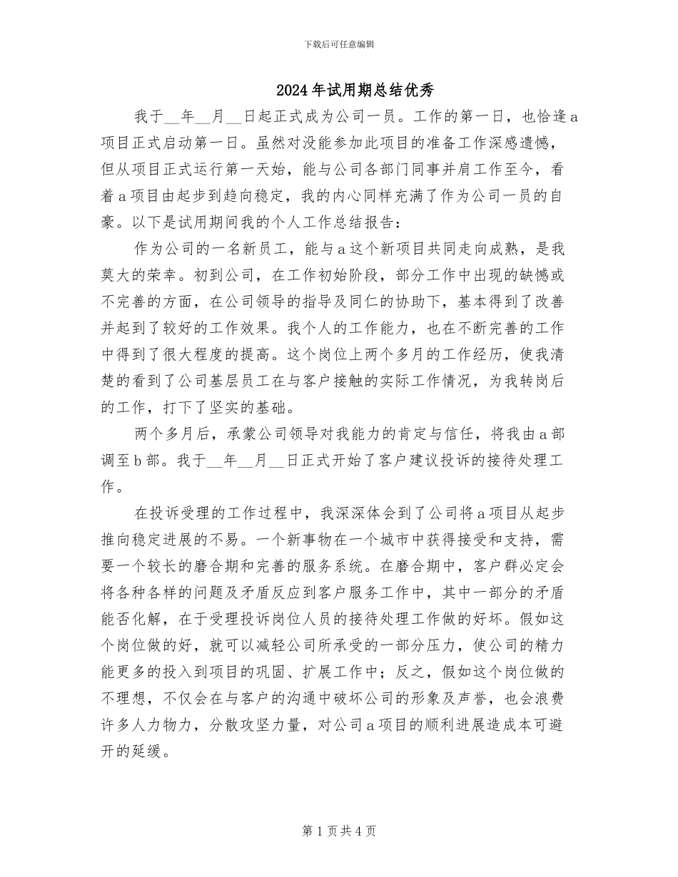 2024年试用期总结优秀_第1页