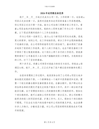 2024年试用期总结优秀