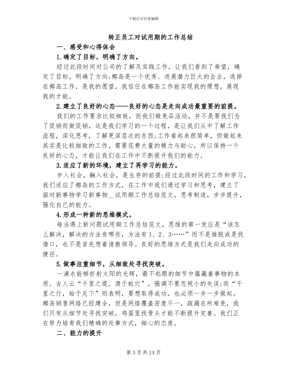 2024年试用期的工作总结_第3页