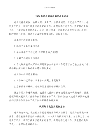 2024年试用期自我鉴定报告总结