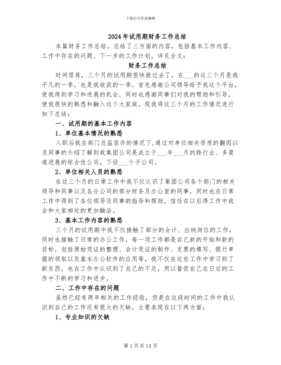 2024年试用期财务工作总结_第1页