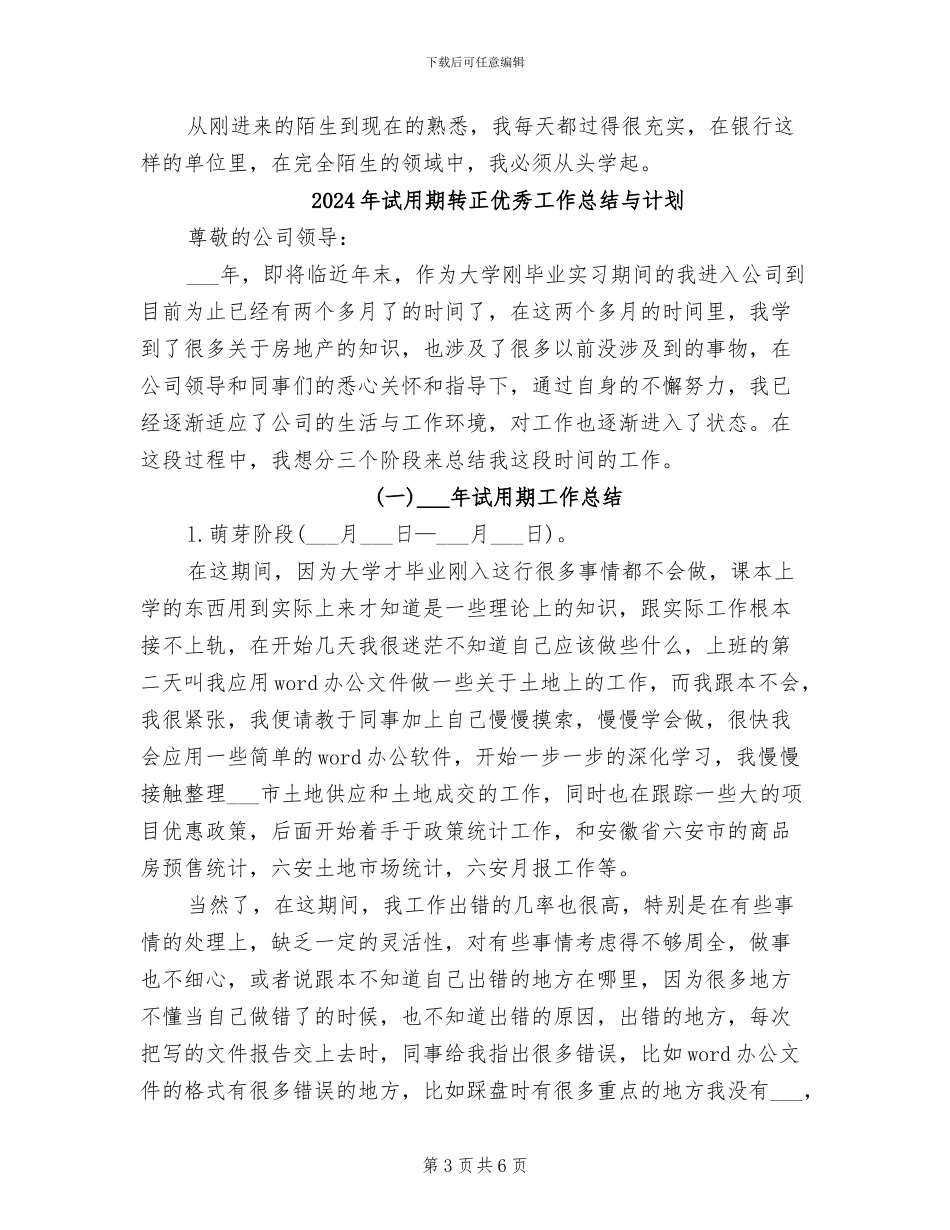 2024年试用期转正个人申请总结_第3页