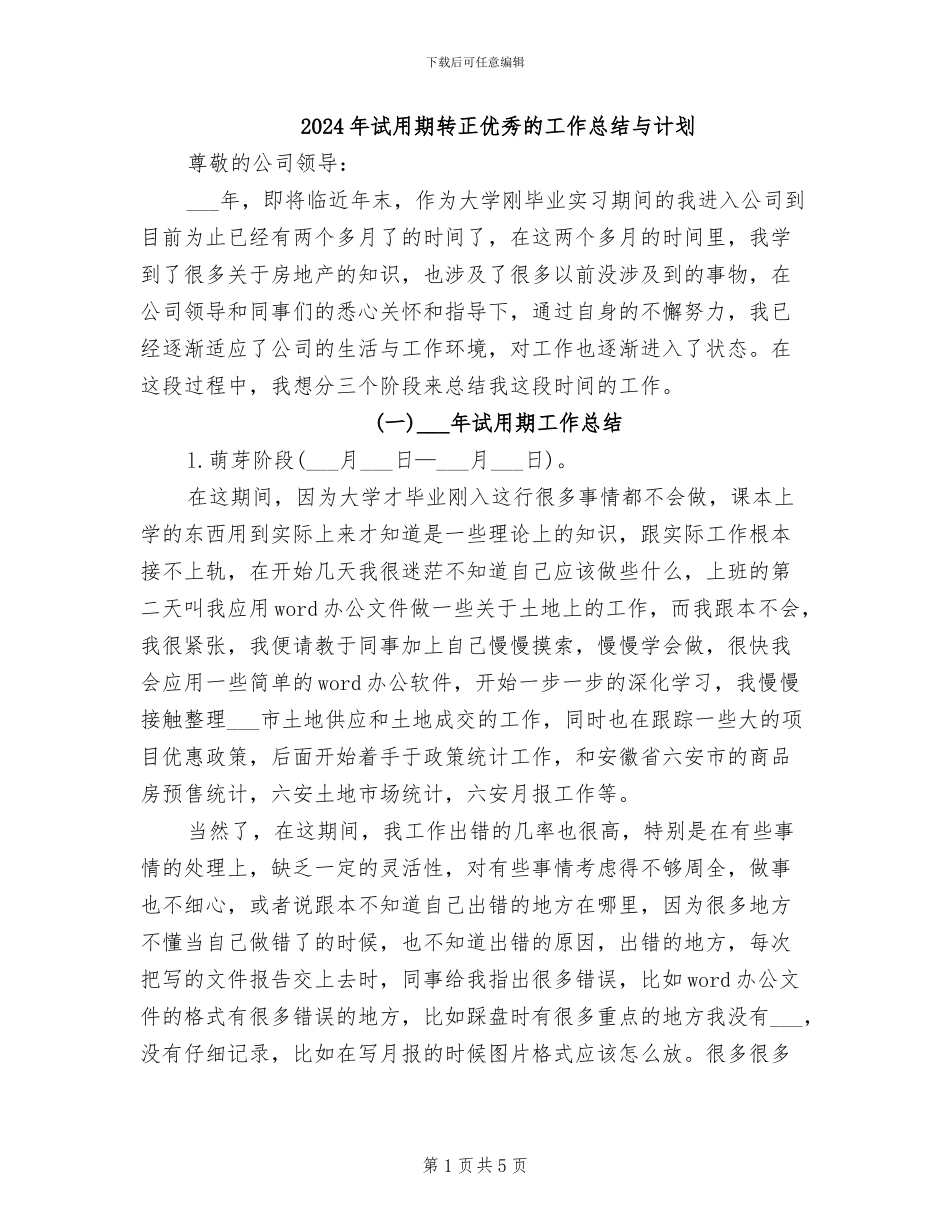 2024年试用期转正优秀的工作总结与计划_第1页