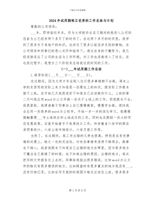 2024年试用期转正优秀的工作总结与计划