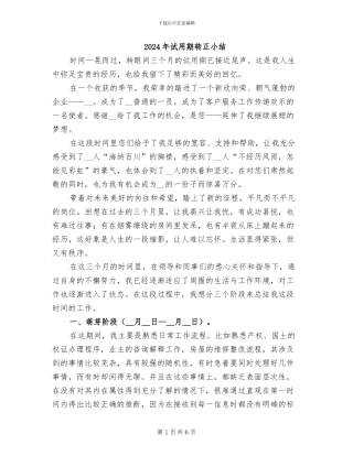 2024年试用期转正小结