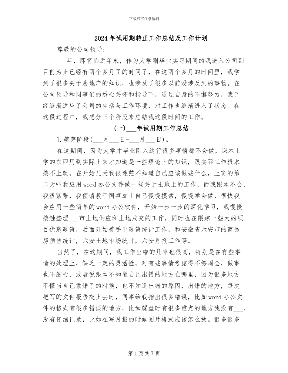 2024年试用期转正工作总结及工作计划_第1页