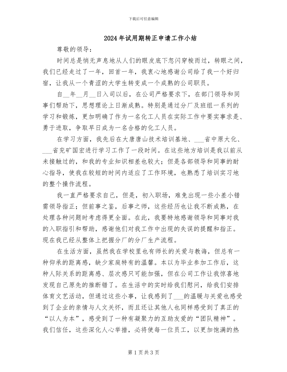 2024年试用期转正申请工作小结_第1页